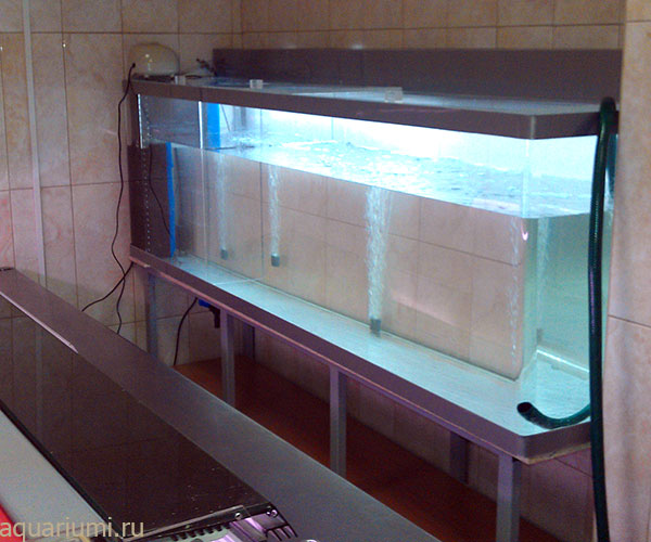 аквариум - для торговли живой рыбой