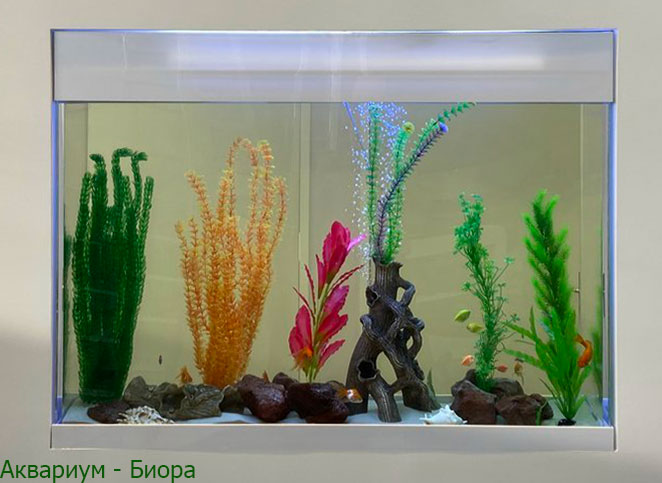 10 простых способов красиво оформить аквариум
