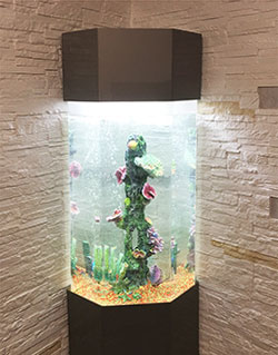 вертикальные аквариумы +для дома
