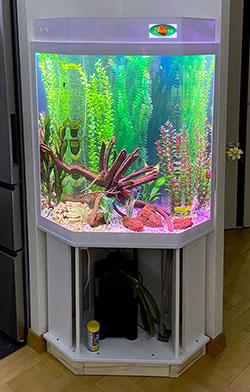 угловой аквариум 300 литров
