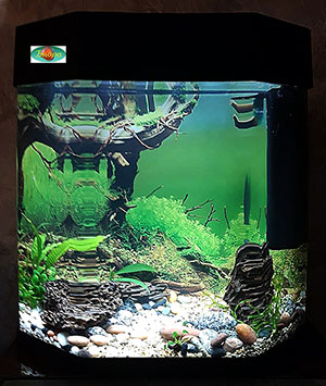 Маленький граненый аквариум 40 литров