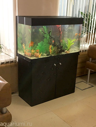 аквариум в аренде на съемках сериала "СЛЕД"