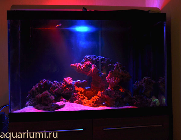 Светодиодное освещение для аквариума своими руками - BioNotes