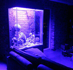 аквариум - колонна у стены