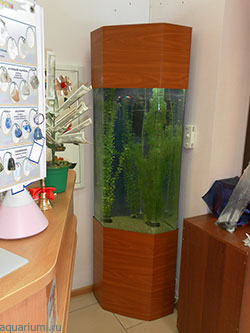аквариум - башня в цвет